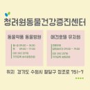 청려원동물병원 이미지