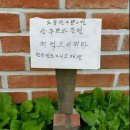 뽀바뽀바 이미지