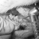 한빛덴탈 이미지