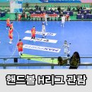 상무체육관 | 선학 체육관 핸드볼 H 리그 관람 후기 두산: 상무