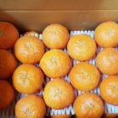 태연2농장 이미지