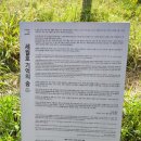 백동무궁화동산 이미지