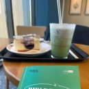 스타벅스동해ICDT점 이미지