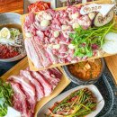 고우다 Daum카페