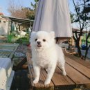 대보초등학교 이미지