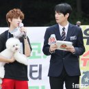 골든차일드 이미지