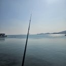 대광해수욕장 | 신안읍 맛집 추천 / 창평국밥 리뷰 및 후기 / 신안 드라이브코스 대광해수욕장 / 현지인 국밥 맛집 추천