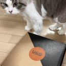 깐돌이PC | 에버어그 AS UGG 호주 키즈 클리어 어그부츠 (방수양털부츠) 언박싱 리뷰