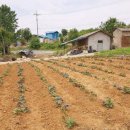 덕지보건진료소 이미지