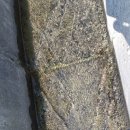 함양액즙 이미지