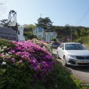 가야1리 (가야교회 버스 정류장) 이미지