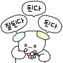 국가대표 상무태권도장 이미지