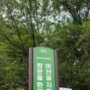 수인야영장 이미지
