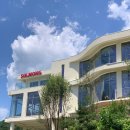 비룡로 | [남양주대형카페] - 남양주 데이트하기좋은 대형카페 애견동반가능 솔몽 다녀온후기