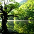 주산지 Daum카페