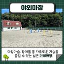 부산국제승마장 이미지