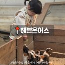 한강가족농장 | 용인 21개월 아기랑 딸기체험농장 추천: 헤븐온어스 후기+동물먹이 안전수칙