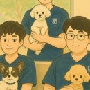 우리아이동물메디컬센터 이미지