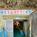 광천은선네토굴새우젓 | [2020.10] 국내여행 17. 충남여행 홍성 1박2일 / 순수펜션