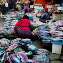 자갈치시장 이미지