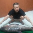 성북낚시터 이미지