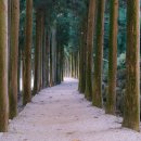 마싯골칼국수 수제비 이미지