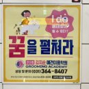 김지순애견미용학원 이미지