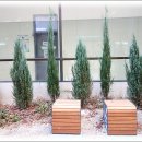 분당구청 구내식당 이미지