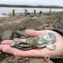 (주)다뉴브