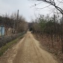 문원청계길 어린이놀이터 | 서울 대공원 나들이 갔다가 산넘어 카페간건에 대하여..(feat.아라비카커피)
