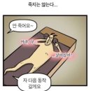 스웻데이 이미지