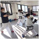 베테랑태권도 이미지