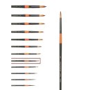 수채화 초중급 이미지