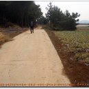 기선농장 이미지