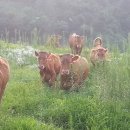 덕인농원 이미지