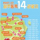 돌고래펜션 이미지