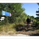 충희공 이인손 묘 이미지