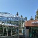 국제꽃식물원 이미지