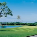 타미우스골프연습장 이미지