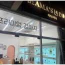 마마스미독 강아지 분양 김해점 이미지