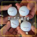 공사이 | 가성비골프공 추천 코스트코 커클랜드골프공3.0 필드 사용후기