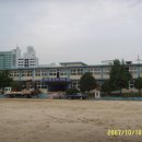 산의초 이미지