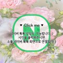 성오로141번길 전역 | 밤리단길 꽃집 소플, 여름에 선물하기 좋은 블루 수국 꽃다발