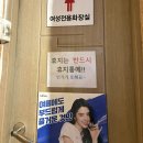 을지로 만선호프 WBC 중계 술집 | 700석 루프탑 정보부터 안주 4종 솔직후기 ⚾🍻