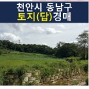 팔골천 | 천안시 토지(답)경매/천안시 동남구 동면 행암리 / 2021타경106332