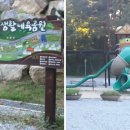 송촌생활체육공원(3) 네이버블로그