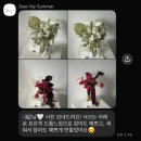 디어마이제이 | W16. 촬영부케 디어마이썸머, 웨촬 헤어변형 메리누리 추천