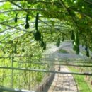 시민체육공원(테니스장)화장실 이미지