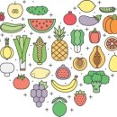 굿바디핏 이미지