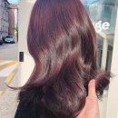 핑크헤어라인 이미지